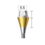 Dentium E-Combi Abutment (CAB6555S)