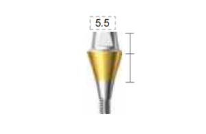 Dentium E-Combi Abutment (CAB6555S)