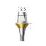 Dentium E-Combi Abutment (CAB6525)