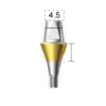 Dentium E-Combi Abutment (CAB6545)