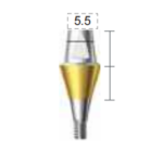 Dentium E-Combi Abutment (CAB6555)