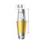 Dentium E-Dual Abutment (DAB4555HL)