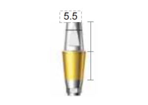 Dentium E-Dual Abutment (DAB4555HL)