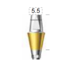Dentium E-Dual Abutment (DAB5555HL)
