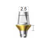 Dentium E-Dual Abutment (DAB6525HL)