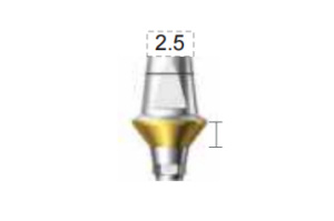 Dentium E-Dual Abutment (DAB6525HL)