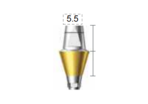 Dentium E-Dual Abutment (DAB6555HL)
