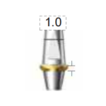 Dentium E-Dual Abutment (DAB4510NL)