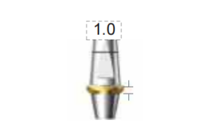 Dentium E-Dual Abutment (DAB4510NL)