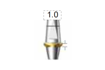 Screenshot_359 Dentium E-Dual Abutment (DAB4510NL)