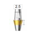 Dentium E-Dual Abutment (DAB4525NL)
