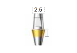 Dentium E-Dual Abutment (DAB4525NL)