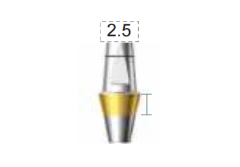 Screenshot_361 Dentium E-Dual Abutment (DAB4525NL)