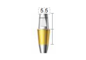 Dentium E-Dual Abutment (DAB4555NL)