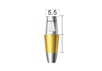 Dentium E-Dual Abutment (DAB4555NL)
