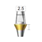 Dentium E-Dual Abutment (DAB5525NL)