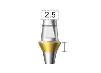 Screenshot_366 Dentium E-Dual Abutment (DAB5525NL)