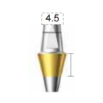 Dentium E-Dual Abutment (DAB5545NL)