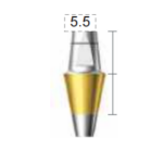 Dentium E-Dual Abutment (DAB5555NL)