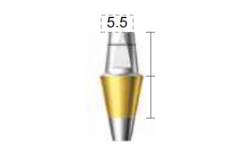 Screenshot_369 Dentium E-Dual Abutment (DAB5555NL)