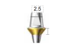 Dentium E-Dual Abutment (DAB6525NL)