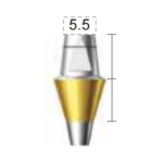 Dentium E-Dual Abutment (DAB6555NL)