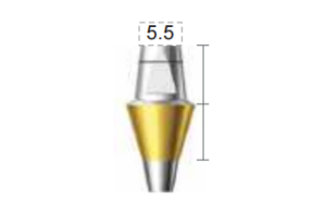 Dentium E-Dual Abutment (DAB6555NL)
