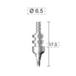 Dentium E-Dual Imp. Coping (DPU6511NL)