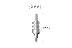 Dentium E-Dual Imp. Coping (DPU6511NL)