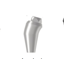 Angled Screw Abutment
